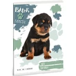 Kép 1/2 - Ars Una: Bátor Mancsok - Rottweiler 2. osztályos vonalas füzet A/5 16-32
