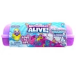 Kép 1/4 - Hatchimals: Tojástartó - Vizes csomag - Spin Master