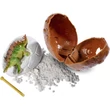 Kép 2/2 - Nature World Dino – Meglepetés dinoszaurusz régészeti készlet tojásban - Simba Toys