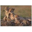 Kép 2/2 - Animal Planet: Gepárd család 1000db-os puzzle