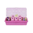 Kép 2/2 - Hatchimals Rainbow Cation Family Carton Farkas család csomag - Spin Master