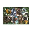 Kép 2/2 - Jurassic World: Kedvenc dinoszauruszok puzzle 300db-os - Trefl