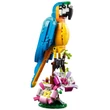 Kép 3/5 - LEGO® Creator: Egzotikus papagáj 3 az 1-ben (31136)