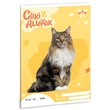 Kép 1/2 - Ars Una: Cuki állatok - Norvég macska sima lapú füzet A/5
