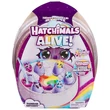 Kép 1/3 - Hatchimals Alive!: Szivárvány játékszett - Spin Master
