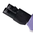 Kép 11/19 - MAGUS Bio 250B biológiai mikroszkóp - 82888