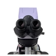 Kép 9/23 - MAGUS Bio DH240 biológiai digitális mikroszkóp - 83478