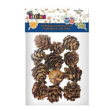 Szárított fenyő toboz 12db-os csomag