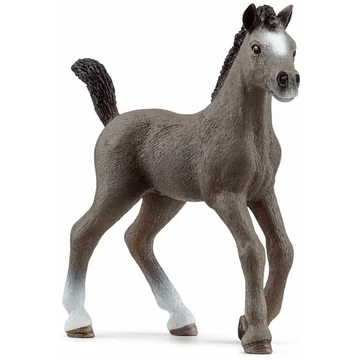 Schleich: Cheval de Selle csikó figura (13957)