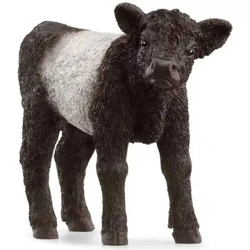 Schleich: Galloway borjú figura (13969)