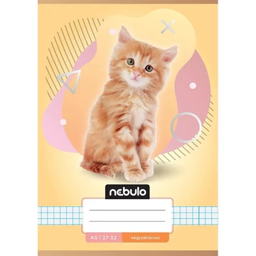 Nebulo: Cicás mintás kockás füzet A/5 27-32