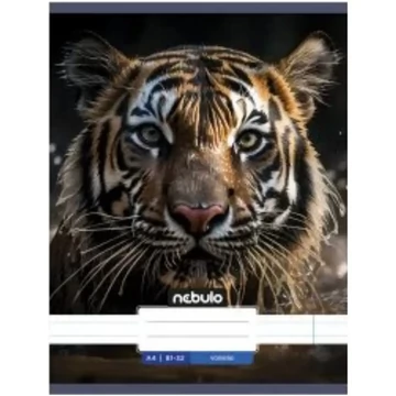 Nebulo: Tigris sima füzet A4 80-32