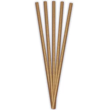 ECO papír szívószál – 20 cm, 24 db-os szett