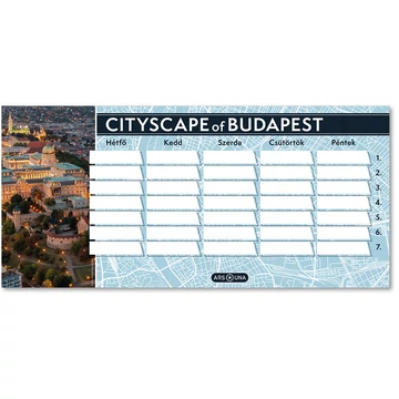 Mancs őrjárat: Skye fólia lufi 70cm