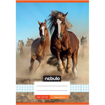 Nebulo: Tűzött vadlovak mintás kockás füzet 27-32 A/5