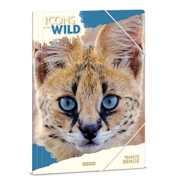 Ars Una: Icons of the wild Szervál mintás gumis mappa A/4