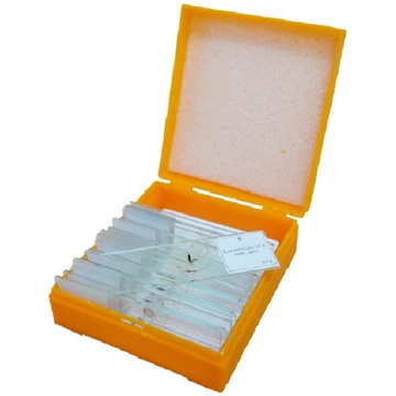 Levenhuk N10 NG előkészített tárgylemezkészlet mikroszkópokhoz - 29279