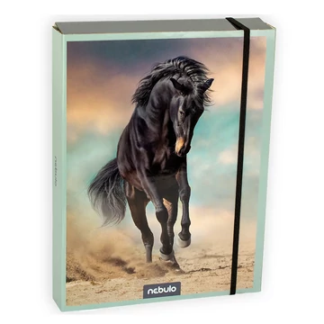 Nebulo: Füzetbox A/5-ös méretben lovas mintával