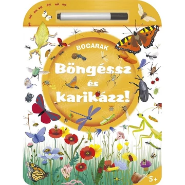 Böngéssz és karikázz - Bogarak