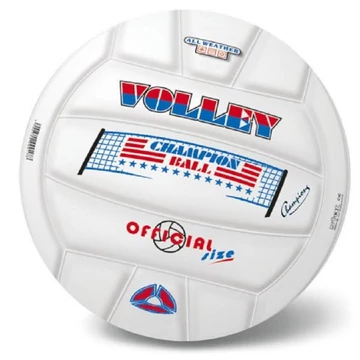 Champion strad röplabda 21cm 08433