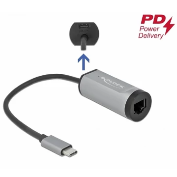 Delock Szürke USB Type-C  adapter tápellátó portos Gigabit LAN-hez