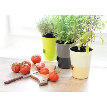 Kaspó Rosmarin Önöntözős 14 ECSONT - 5901385100