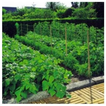 Növénytartó háló 1,2x20m 150x150 natúr - 13108