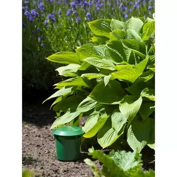 Csigacsapda 2db/-os szett - 6060141