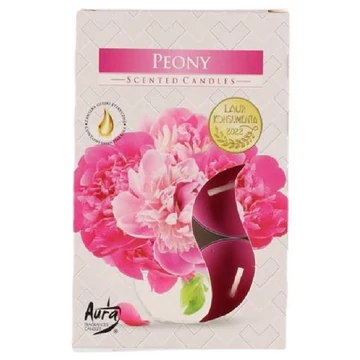 Peony teamécses 6db