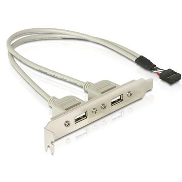 Delock Slot konzol 1x belső USB 10 tűs > 2x USB2.0 külső