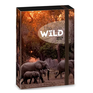 Ars Una: Máté Bence The Eyes of the Wild - Elefánt füzetbox A/4
