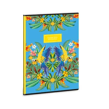 Ars Una: Catalina Estrada Araratiti extra kapcsos A/4-es 4.osztályos vonalas füzet