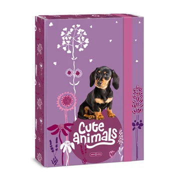 Ars Una: Cuki állatok - Kutyás A4 füzetbox