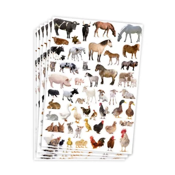 PlayBox: Farm állatos matricák 300db-os