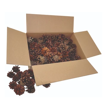 PlayBox: Fenyő toboz szett 125db-os