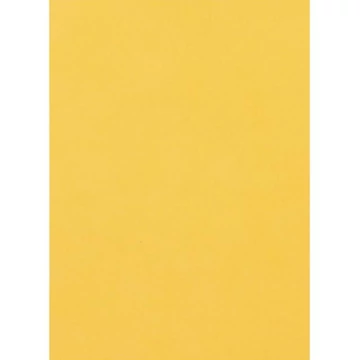 Spirit: Arany habszivacs lap A/4-es méret 2mm