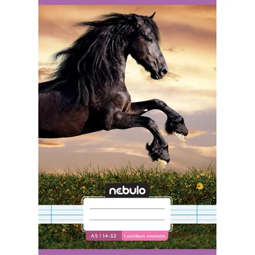 Nebulo: Tűzött 1. osztályos vonalas füzet A5-ös 14-32 Cuki mintás - Lovas