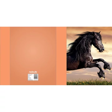 Nebulo: Füzetbox A/5-ös méret Fekete ló