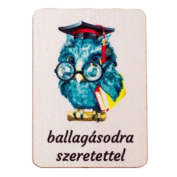 Ballagási feliratos baglyos dekortábla 7x5cm 4db-os kiszerelésben GV04-96