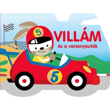 Villám és a versenyautók könyv
