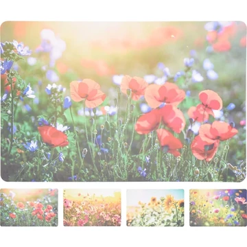 Pipacsos tányéralátét több féle B04222190