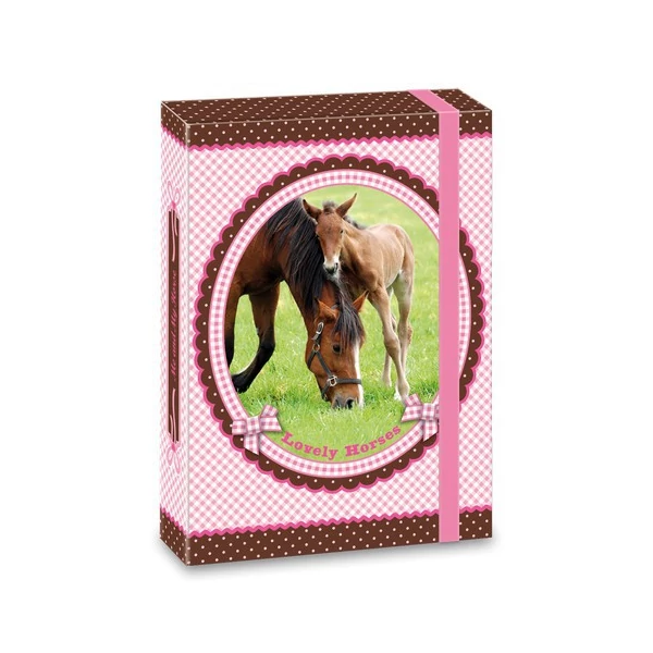 My Horse füzetbox A5-ös