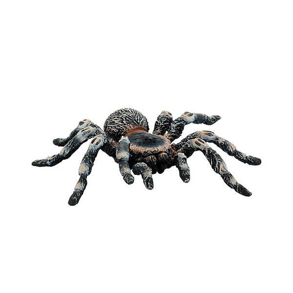 Fehértérdű madárpók játékfigura