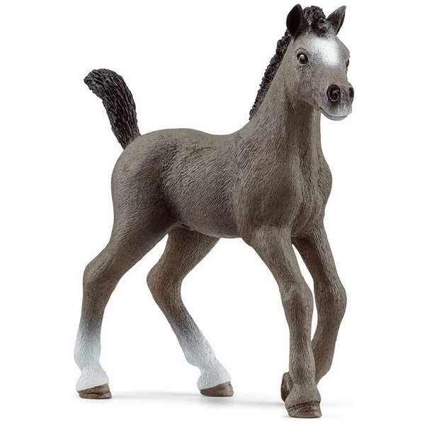 Schleich: Cheval de Selle csikó figura (13957)