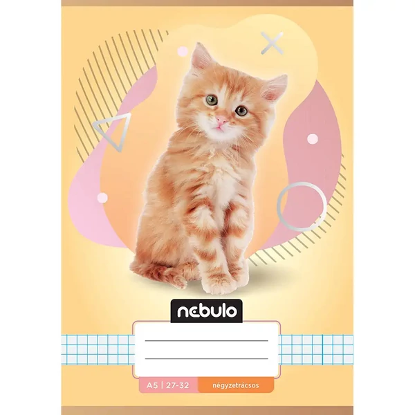 Nebulo: Cicás mintás kockás füzet A/5 27-32
