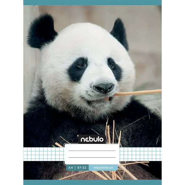 Nebulo: Tűzött kockás panda mintás füzet 87-32 A/4