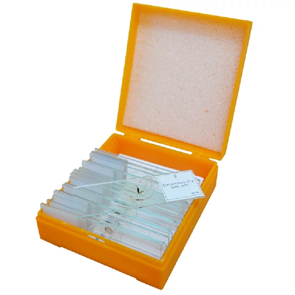 Levenhuk N18 NG előkészített tárgylemezkészlet mikroszkópokhoz - 29276