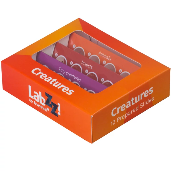 Levenhuk LabZZ C12 Élőlények – előkészített tárgylemez-készlet mikroszkópokhoz - 72868