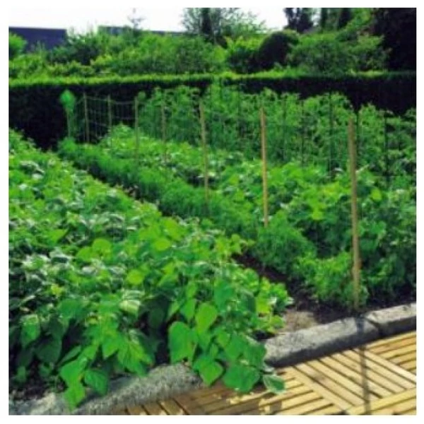 Növénytartó háló 1,2x20m 150x150 natúr - 13108