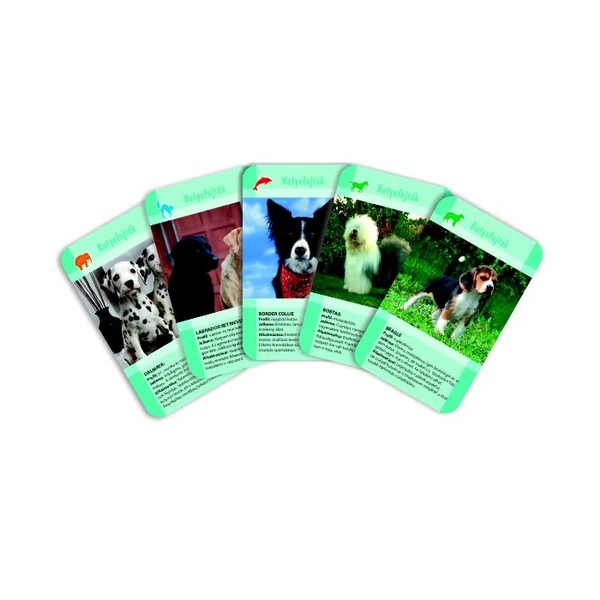 Kutyafajták memóriakártya